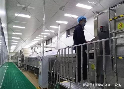 洋芋粉絲粉條機選購指南 性能、服務、價格如何權衡，告別后悔選擇